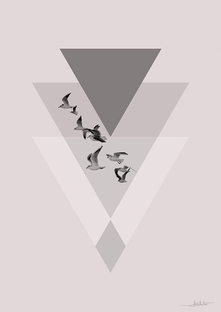 Geometric Seagulls I por Joel Santos -  CATEGORIAS