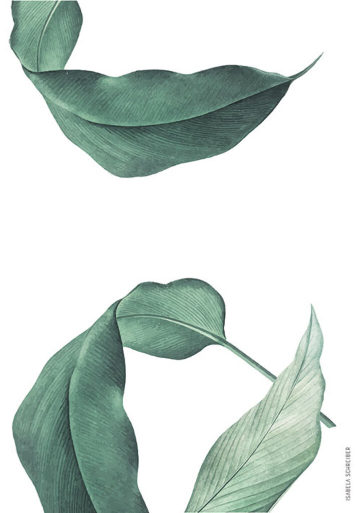 Quadro Botanica Tropical 01 por Isabela Schreiber -  CATEGORIAS