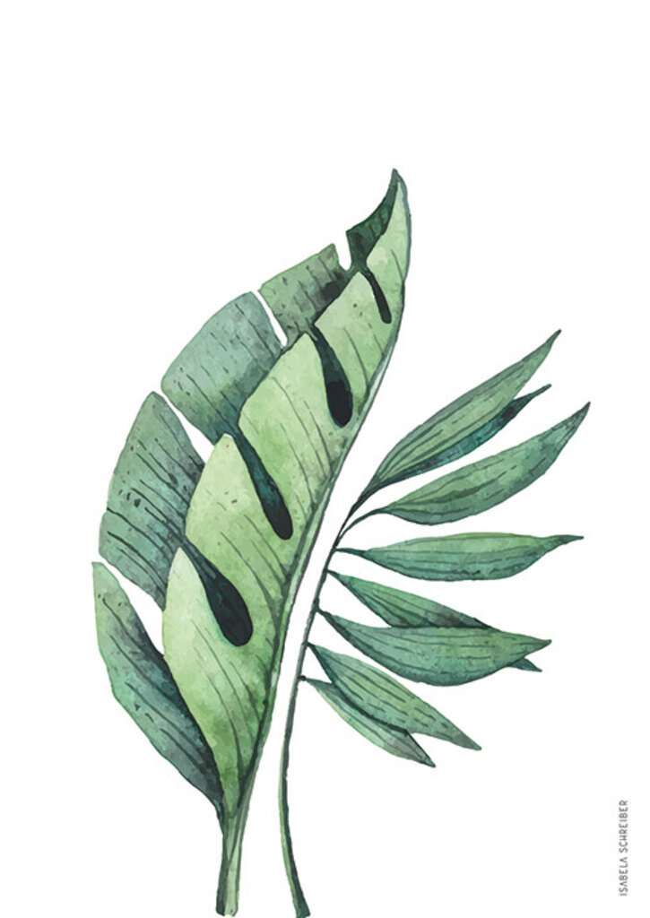 Quadro Botanica Tropical 02 por Isabela Schreiber -  CATEGORIAS