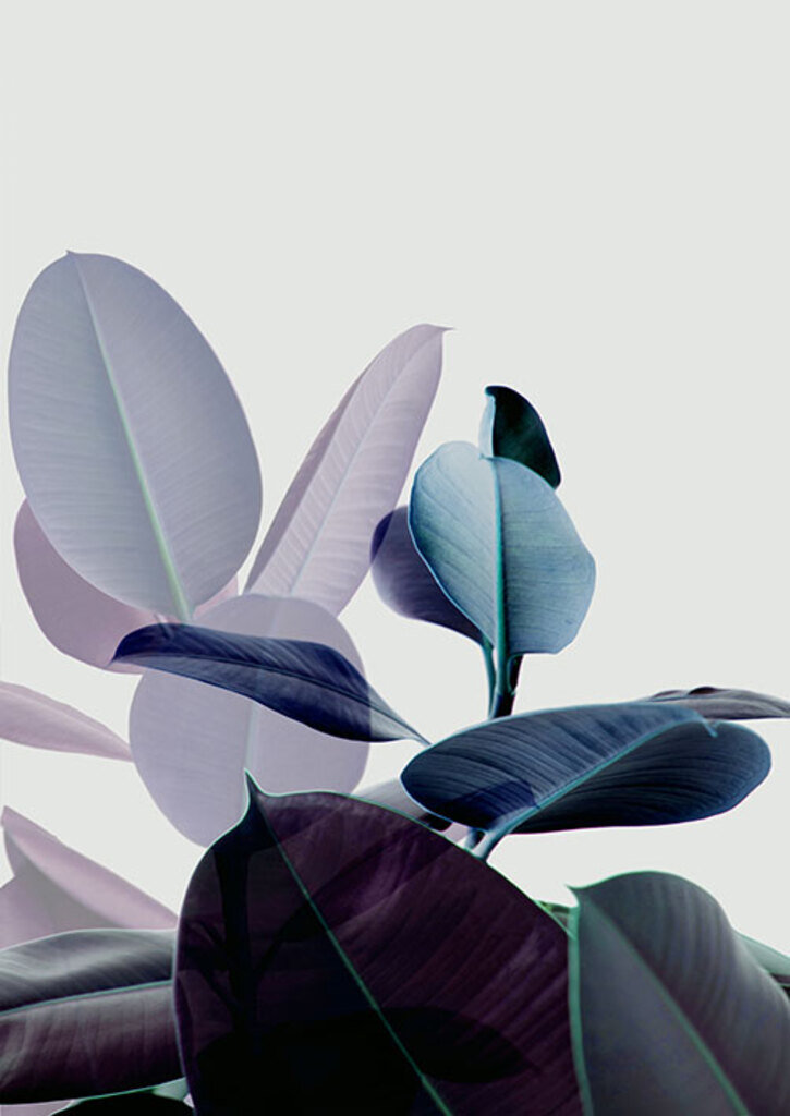 Quadro Botanical Blue II por Juliana Bogo -  CATEGORIAS