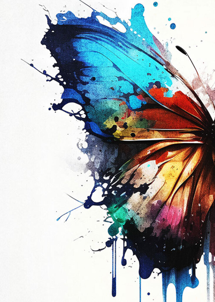 Quadro Butterfly Splash por Renato Muniz -  CATEGORIAS