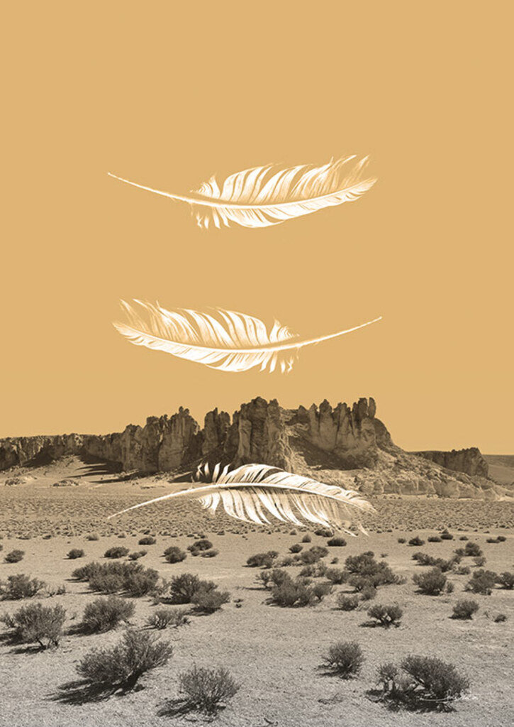 Quadro Desert 01 por Joel Santos -  CATEGORIAS