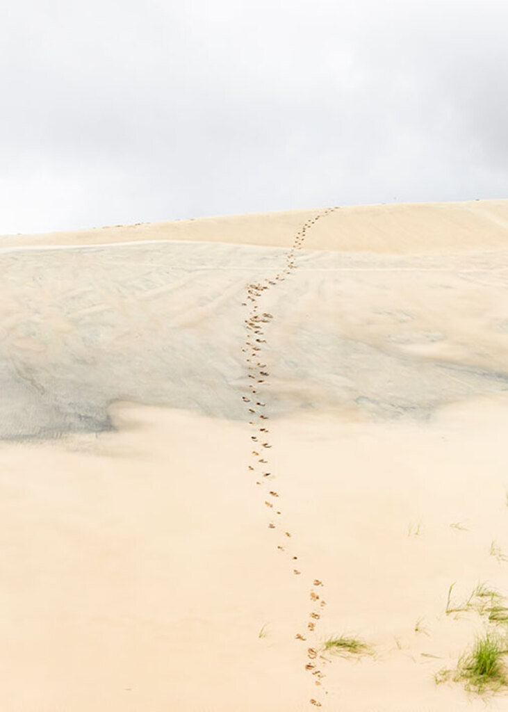 Quadro Dune por Rafael Campezato -  CATEGORIAS