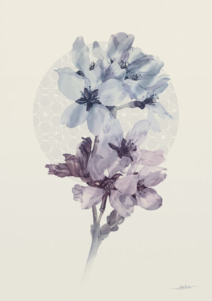 Quadro Floral Clean IV por Joel Santos -  CATEGORIAS