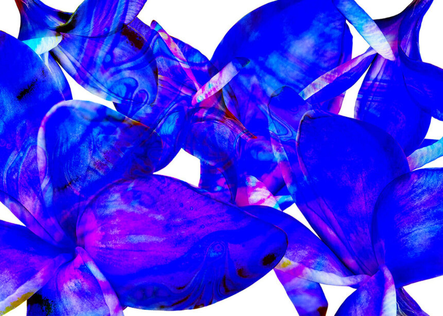 Quadro Flores Blue por Isadora Fabrini -  CATEGORIAS