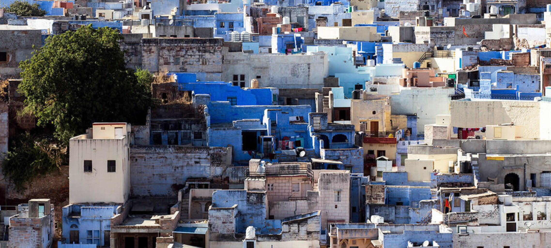 Quadro Jodpur Blue City por Felipe Hoffmann -  CATEGORIAS