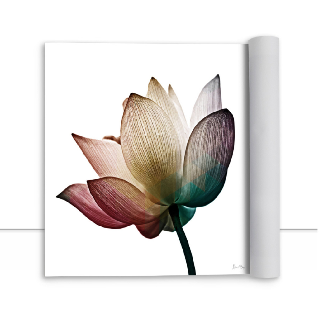 Quadro Multicolor Flower IV por Juliana Bogo -  CATEGORIAS