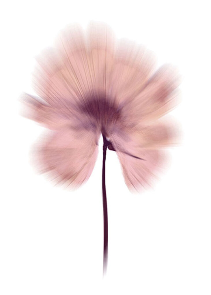 Quadro One Flower II por Patricia Costa -  CATEGORIAS
