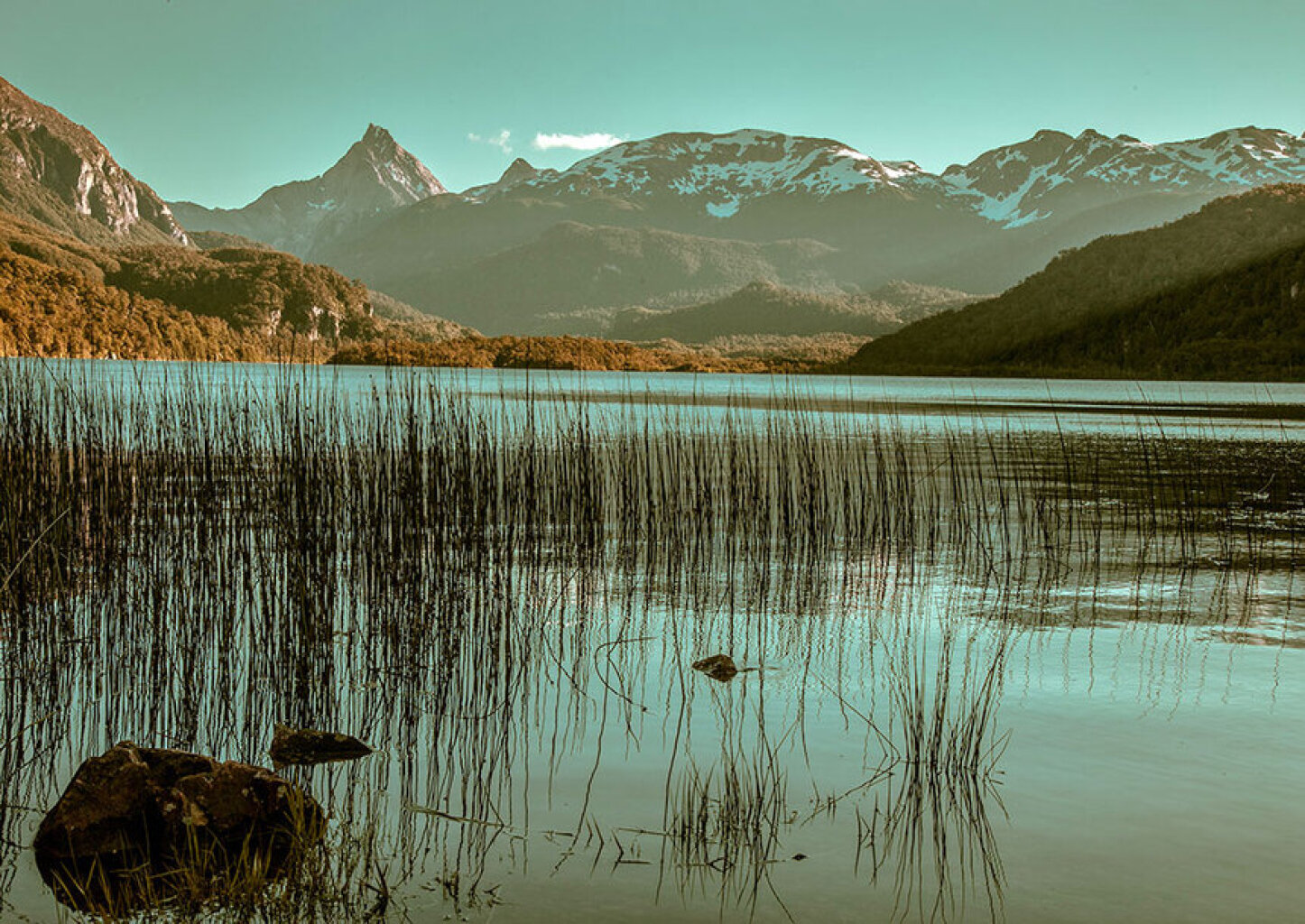 Quadro Patagonia Chilena 1 por Patricia Schussel Gomes -  CATEGORIAS