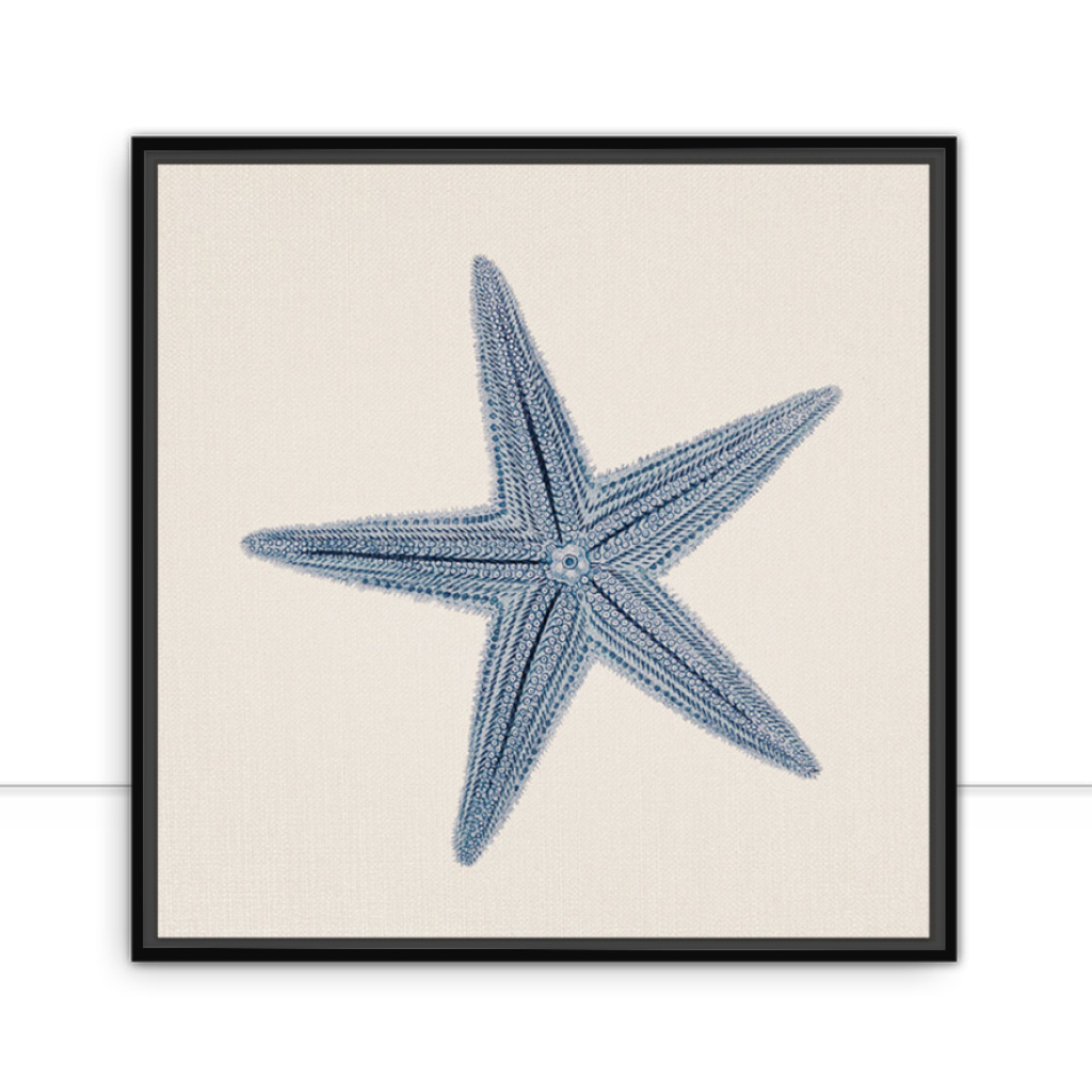 Quadro Sea Star por Bruna Deluca - Ammo Quadros I A galeria com os quadros  certos para decorar seus ambientes