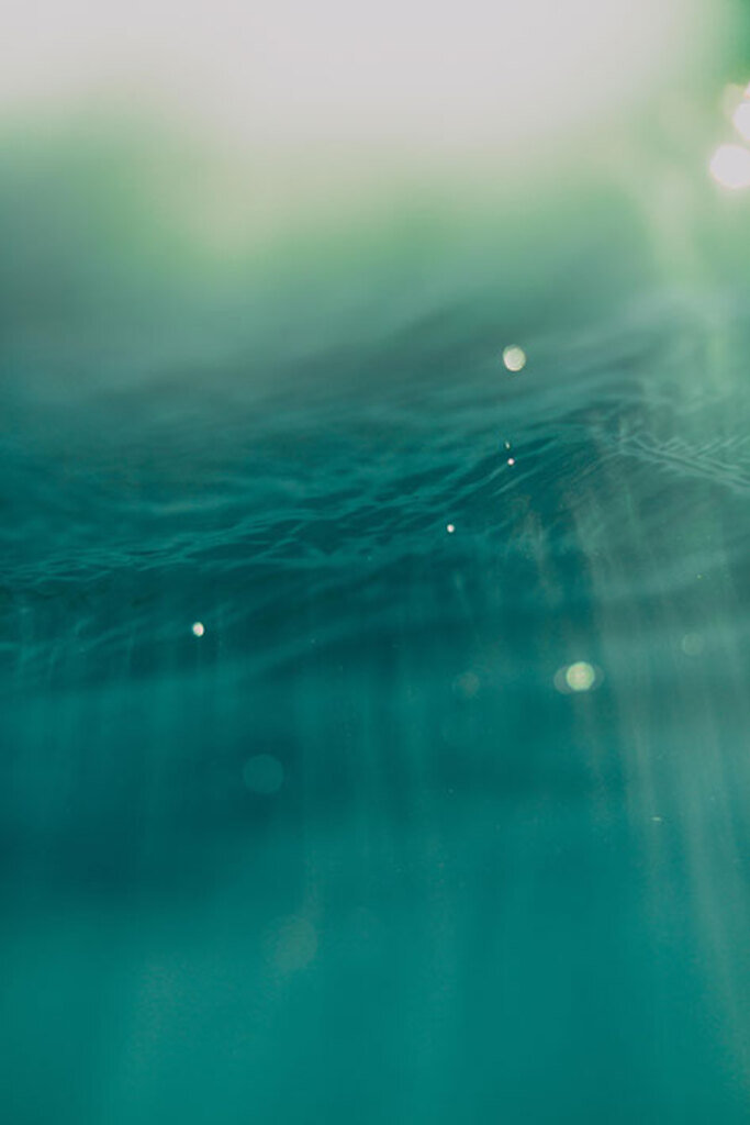 Quadro Underwater por Lucas Meneses -  CATEGORIAS