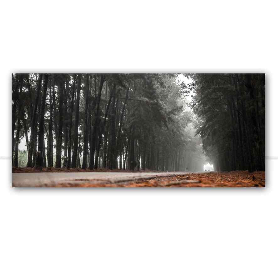 Quadro Pinheiro névoa estrada linda cena por Pignata - CATEGORIAS