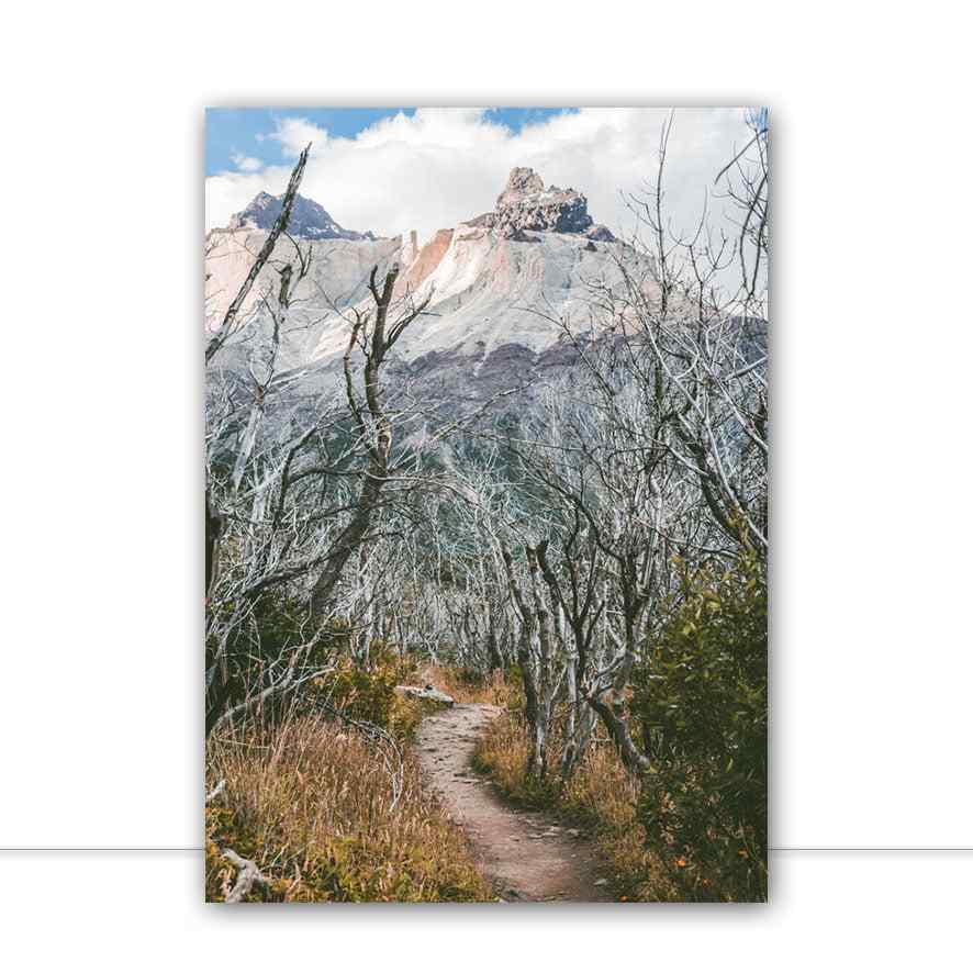 Quadro Torres Del Paine 06 por Patricia Schussel Gomes