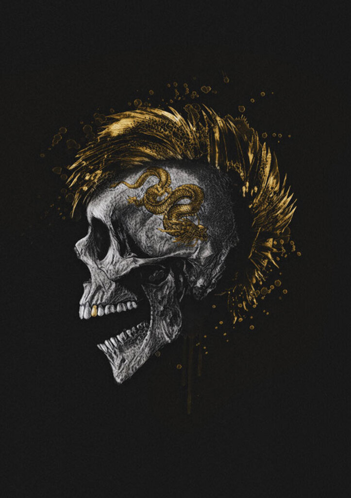 Skull Dragon por GoldBoy -  CATEGORIAS
