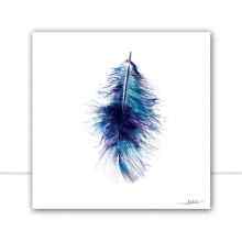 Feather I por Joel Santos