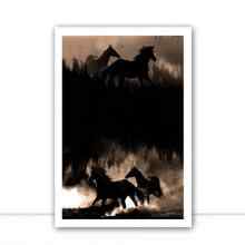 Horses I por Joel Santos - CATEGORIAS