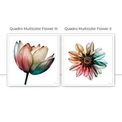 Conjunto de Quadros Multicolor Flower por Juliana Bogo