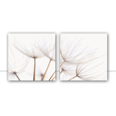 Conjunto de quadros Dandelion Díptico Sepia por Juliana Bogo -  AMBIENTES
