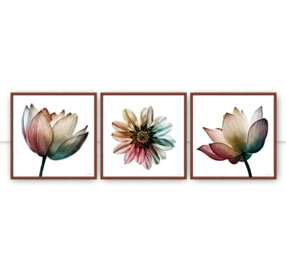 Conjunto de Quadros Trio Multicolor Flower Q por Juliana Bogo -  AMBIENTES