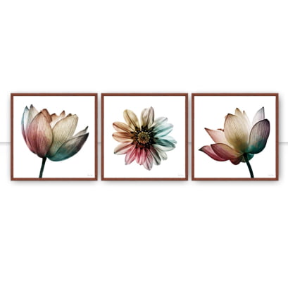 Conjunto de Quadros Trio Multicolor Flower Q por Juliana Bogo -  AMBIENTES