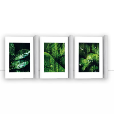 Conjunto de quadros Wet Nature por Joel Santos -  AMBIENTES