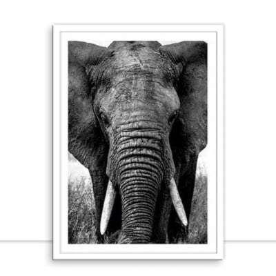 Elefante por Juliana Bogo -  CATEGORIAS