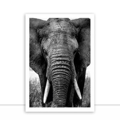 Elefante por Juliana Bogo -  CATEGORIAS