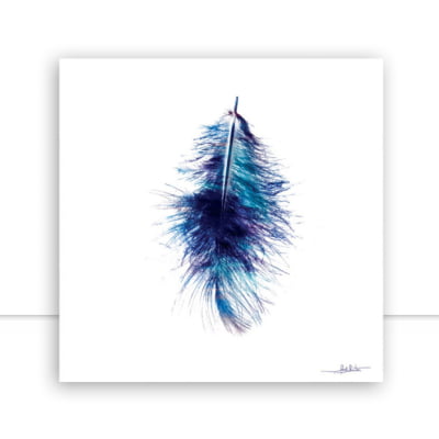 Feather I por Joel Santos -  CATEGORIAS