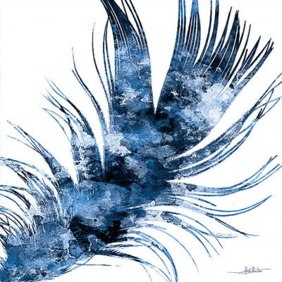 Feather III por Joel Santos