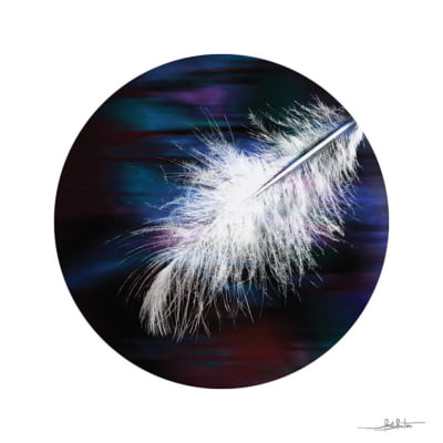 Feather IV por Joel Santos