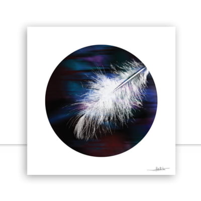 Feather IV por Joel Santos -  CATEGORIAS