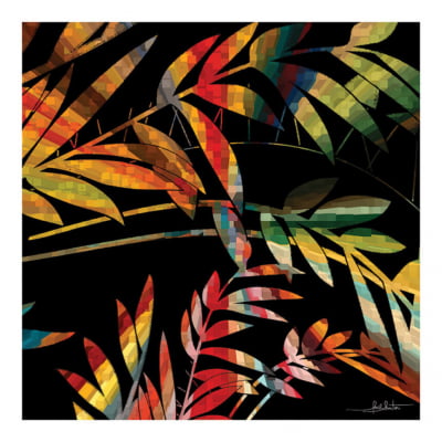 Foliage Colours IIQ por Joel Santos
