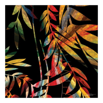 Foliage Colours IQ por Joel Santos