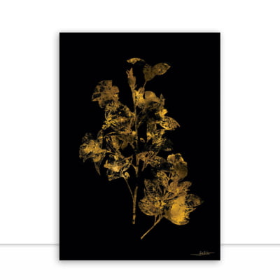 Foliage Gold II por Joel Santos -  CATEGORIAS