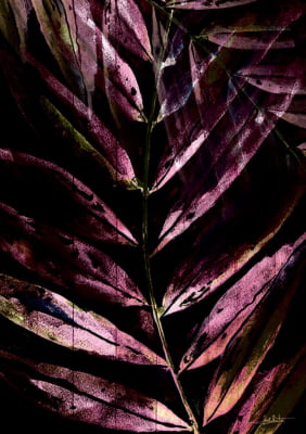 Foliage Purple I por Joel Santos