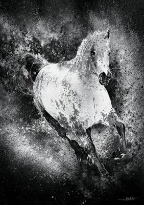 Horses Aquarela III P&B por Joel Santos