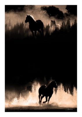 Horses II por Joel Santos