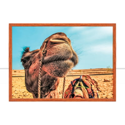 Jaisalmer IV por Patricia Schussel Gomes -  CATEGORIAS