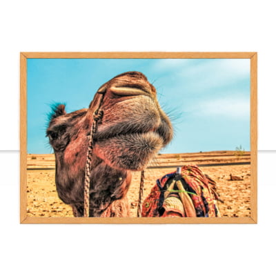 Jaisalmer IV por Patricia Schussel Gomes -  CATEGORIAS