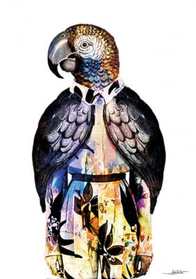 Quadro Macaw Style por Joel Santos -  CATEGORIAS