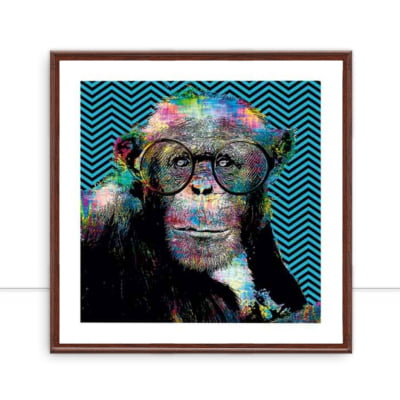 Monkey Colours por Joel Santos -  CATEGORIAS