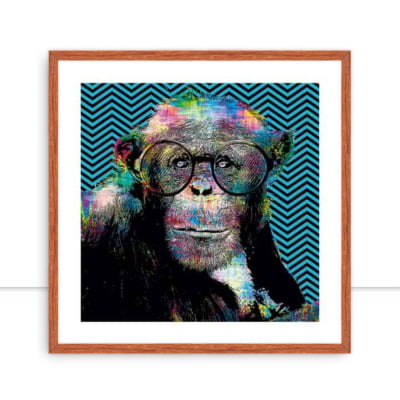 Monkey Colours por Joel Santos -  CATEGORIAS