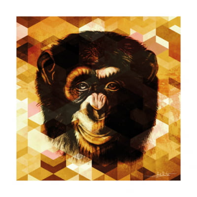 Monkey Gold Q por Joel Santos