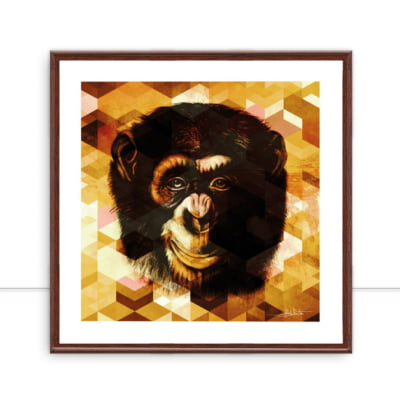 Monkey Gold Q por Joel Santos -  CATEGORIAS