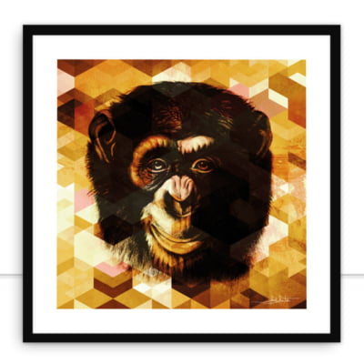 Monkey Gold Q por Joel Santos -  CATEGORIAS