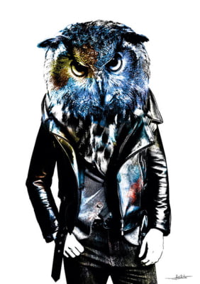 Quadro Owl Style por Joel Santos