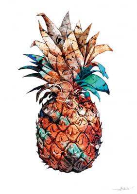 Pineapple Colours I por Joel Santos