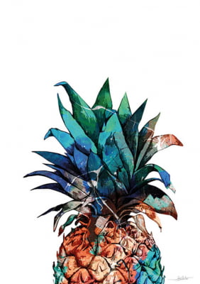 Pineapple Colours II por Joel Santos