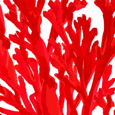 Quadro Algas vermelhas por Sussu e Juju