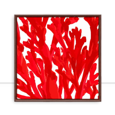 Quadro Algas vermelhas por Sussu e Juju -  CATEGORIAS